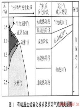 地質(zhì)異常找礦理論在頁巖氣勘探中的應(yīng)用