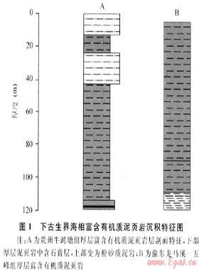 我國富含有機質泥頁巖發(fā)育特點與頁巖氣戰(zhàn)略選區(qū)