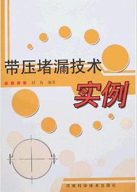 帶壓堵漏技術實例