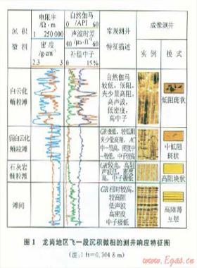 龍崗地區(qū)飛仙關組鮞粒灘微相的地震—地質(zhì)綜合預測