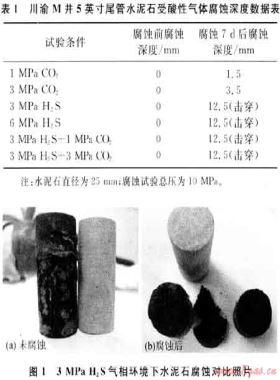 川渝地區(qū)含硫氣井固井水泥環(huán)界面腐蝕機理分析
