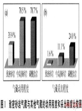中國(guó)非常規(guī)天然氣資源基礎(chǔ)與開(kāi)發(fā)技術(shù)