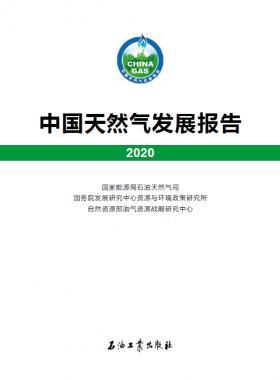 2020中國天然氣發(fā)展報告（含2017、2018、2019、2020）